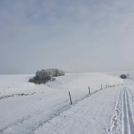 Apartment Rochlitzer Berg Blick