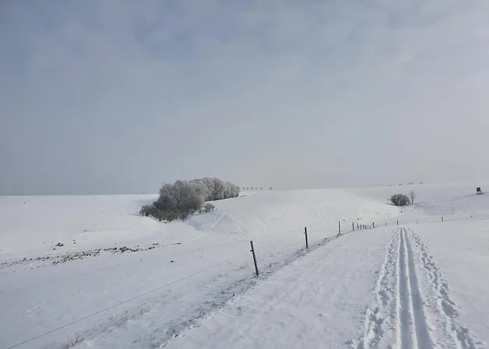Διαμέρισμα Rochlitzer Berg Blick