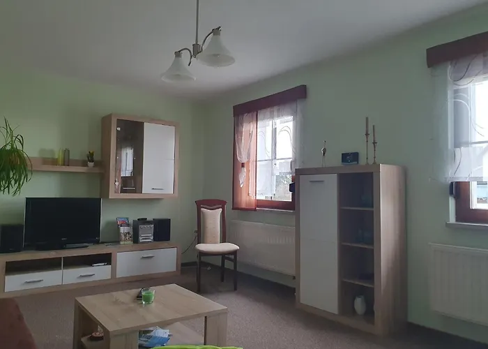 Rochlitzer Berg Blick Seelitz